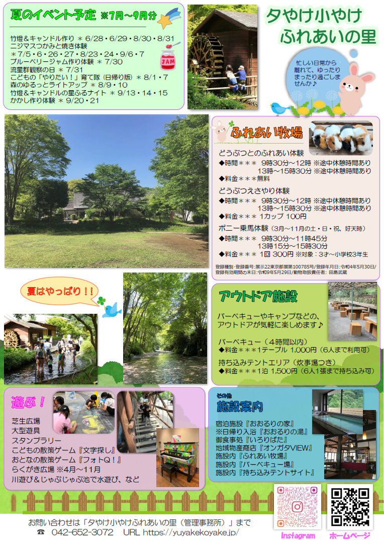 夏のイベント情報